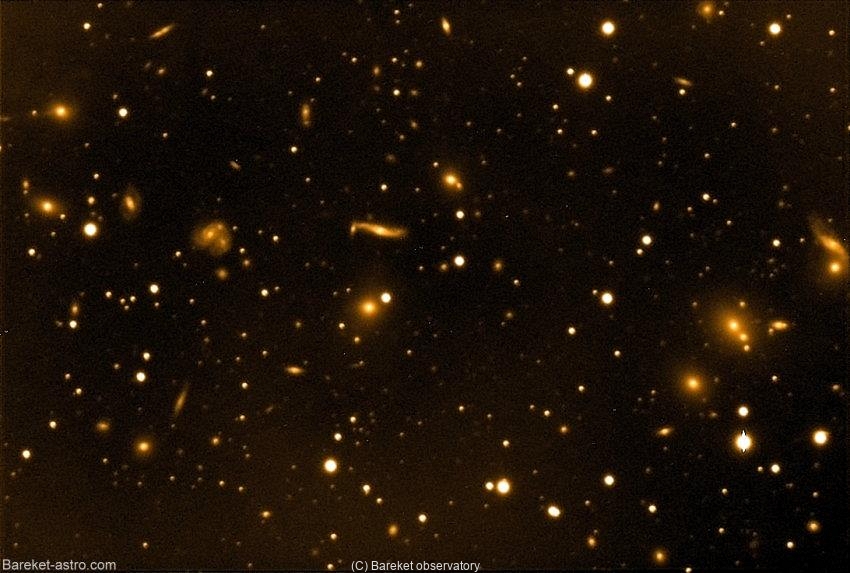 צביר גלקסיות בהרקולס