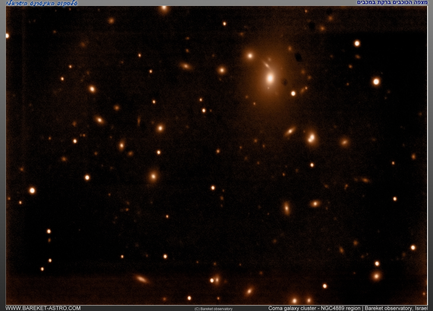צביר גלקסיות בברוניקה